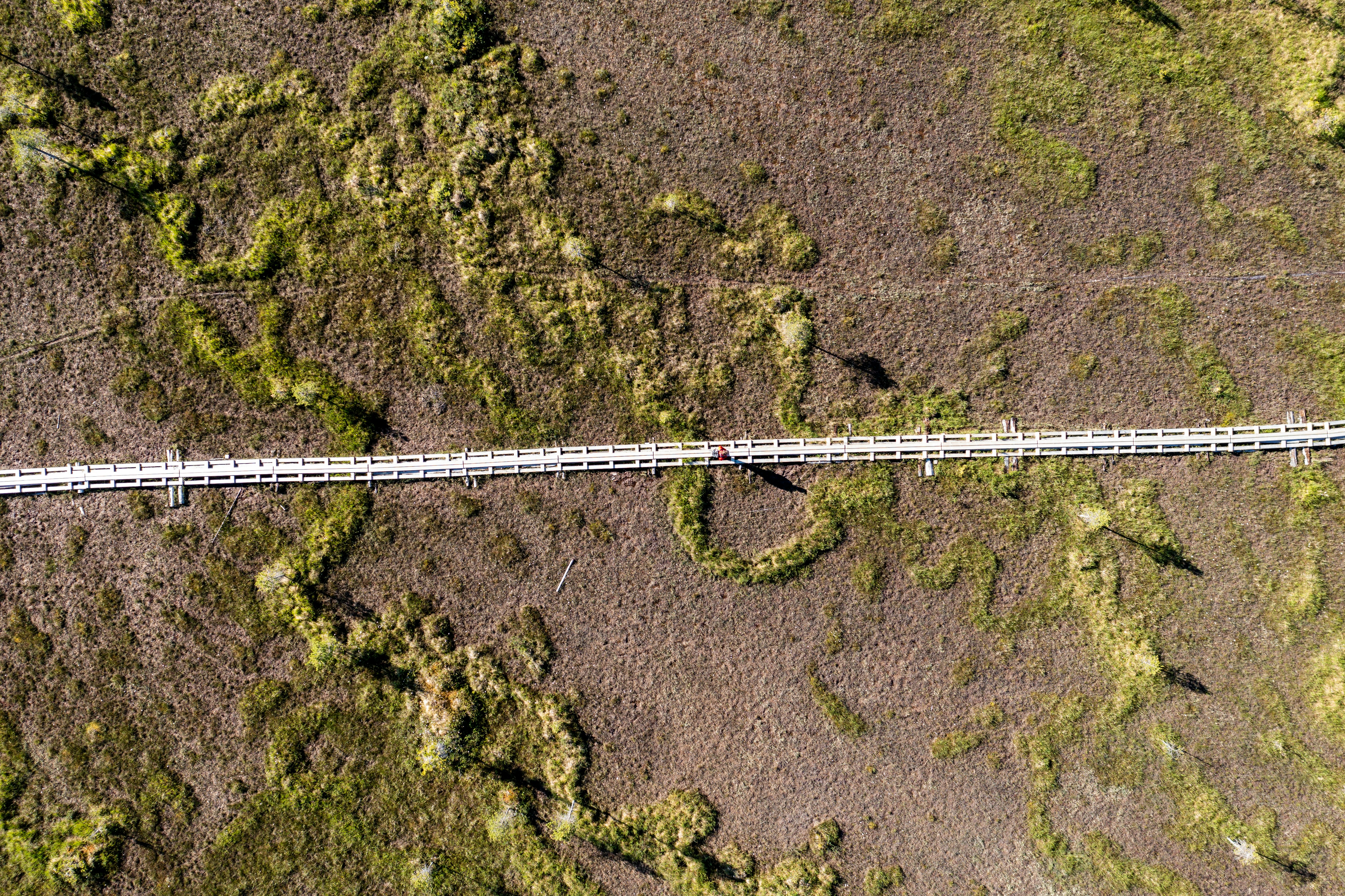 aerial view of bridge over river